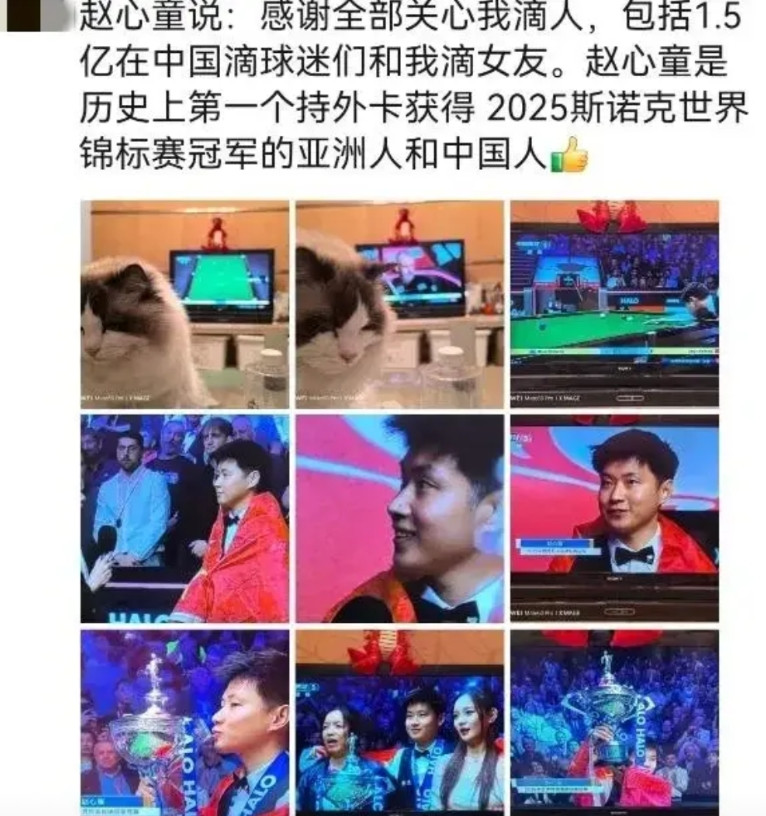 斯诺克是不是逐步在衰弱了？斯诺克世锦赛赵心童击败马克叔夺冠，但大家有没有发现一