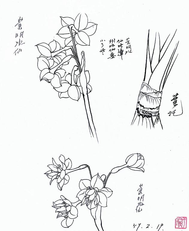 素材|于非闇写生课图画稿绘画