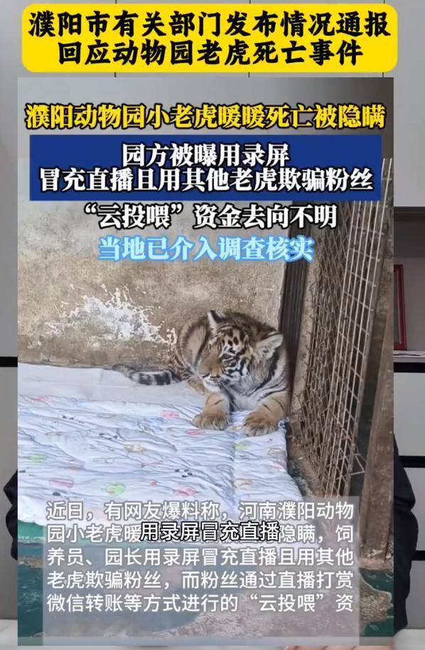 动物园隐瞒小老虎死讯，继续用录播骗云投喂收取打赏现在小动物都成敛财工具了？真