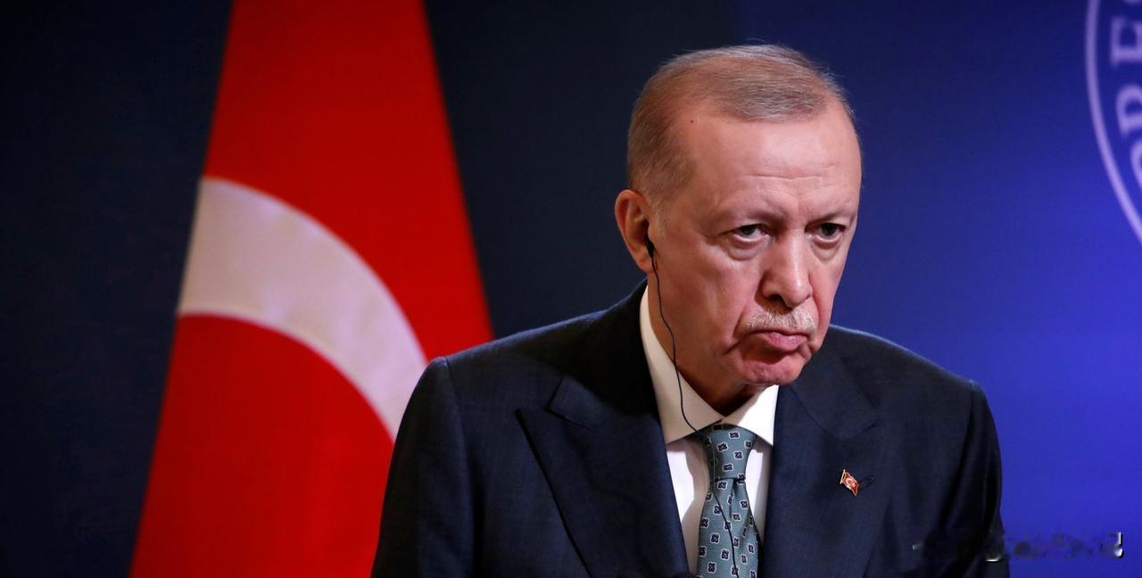 2026年起中国游客去土耳其将免签！背后原因不简单…你有没有发现，国际上的风