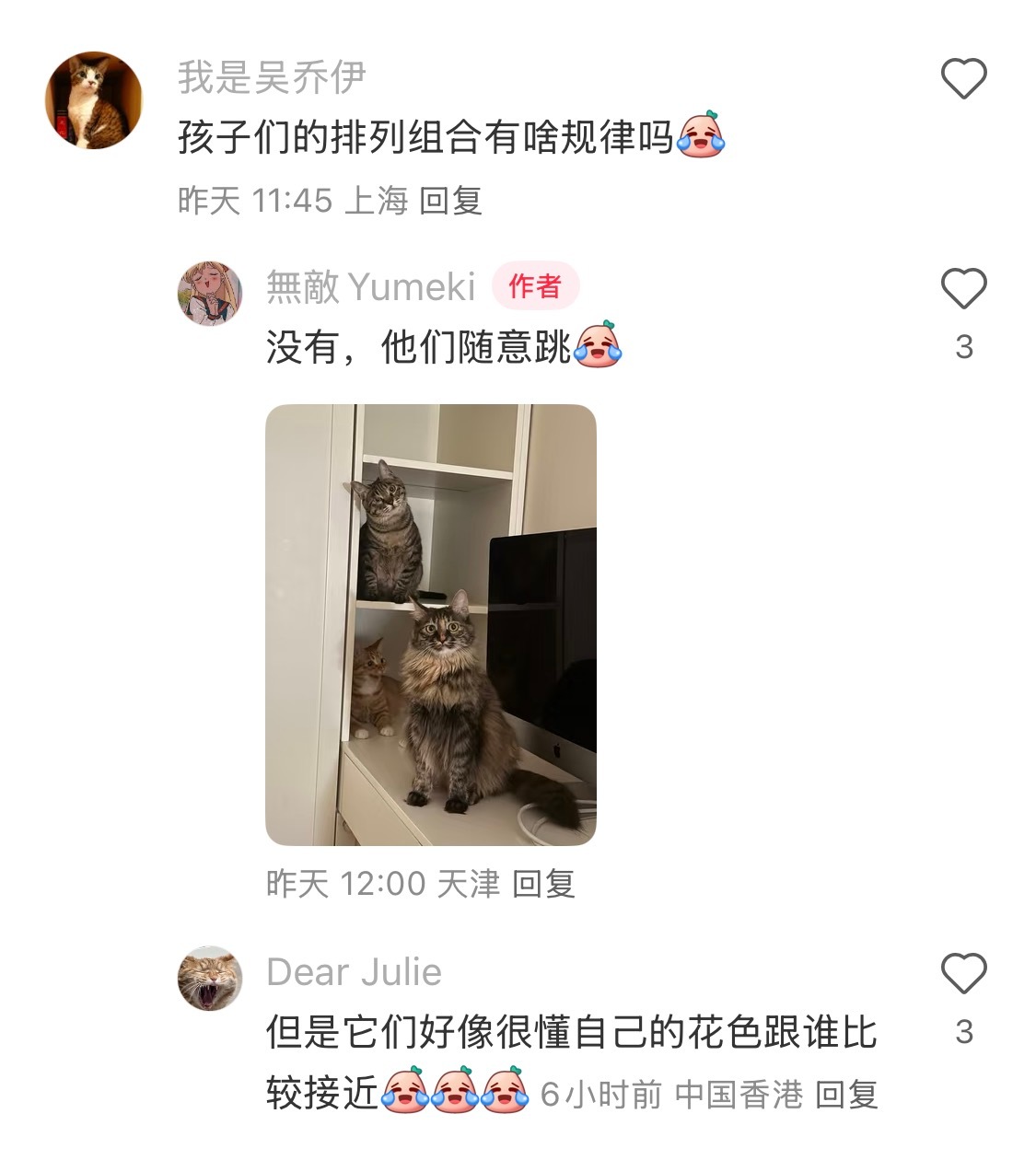不常用的猫可以拿来当软装