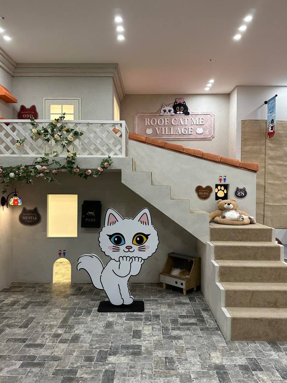 在猫咪的天堂，喵鸣是一种语言。