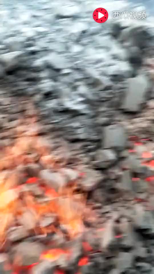 4442620662760586527.jpg?id=0