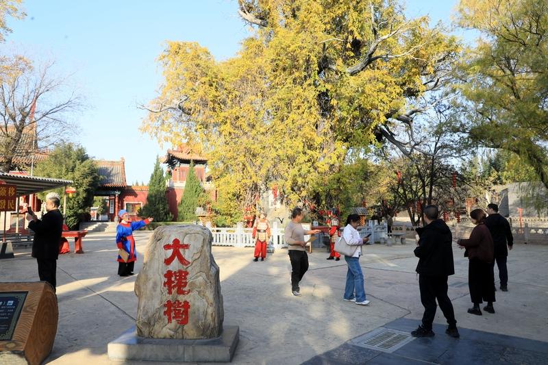 “落叶人何在，寒云路几层”，落叶飘零，总让人感怀生命的无常。秋天树叶纷纷落下，就
