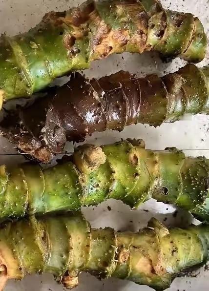 昨晚老公出差回来，说大姑姐寄了个包裹，饭都顾不上吃就拆了，打开一看是几根粗棍子，