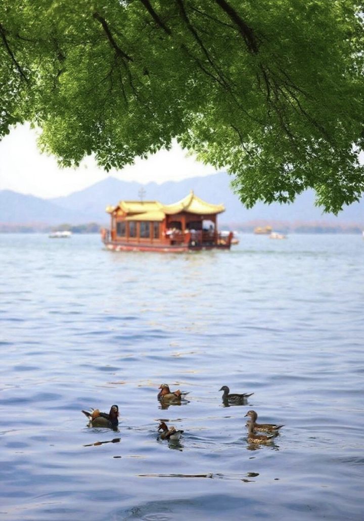 橙友圈里的七夕节, 那叫一个热闹, 你的七夕节是怎么过的呢?