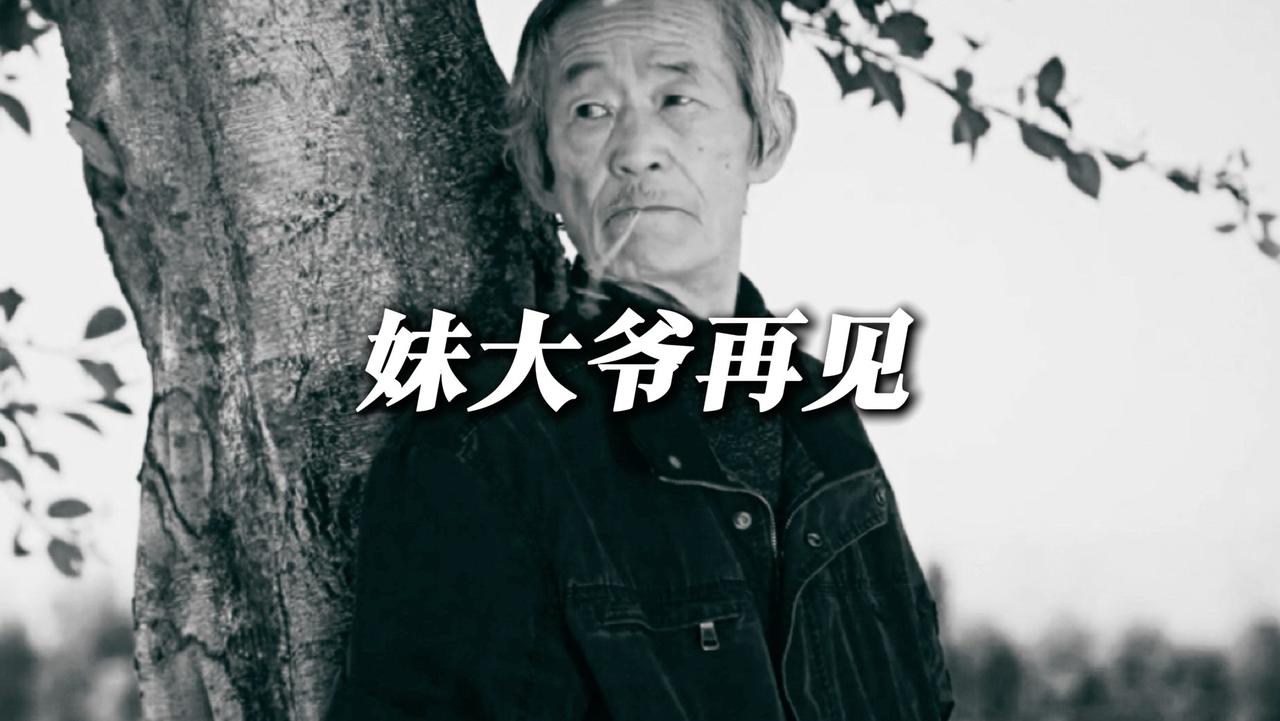 2026年的夏天，一张沉痛的讣告，让无数人的青春彻底落幕。那个承包了我们十几