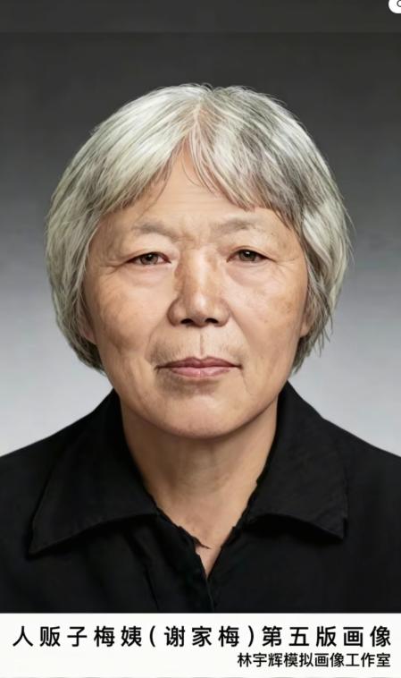 尘封多年的谜底终于揭开！“梅姨”真实身份敲定：现年65岁，籍贯广西，被捕时蜗居出