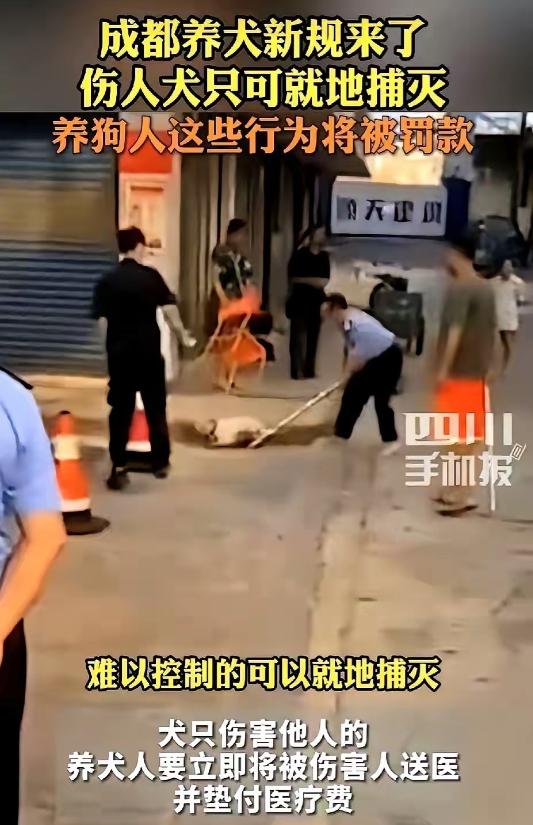 成都这回动真格了：狗咬了人甭管谁挑事，你先掏钱垫医药费5月27日，成都出台了