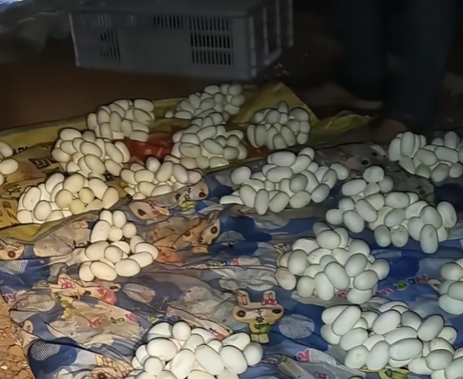 吓得浑身发抖！6月12日，江西一名外出务工的小伙在外漂泊整整半年，一直没能