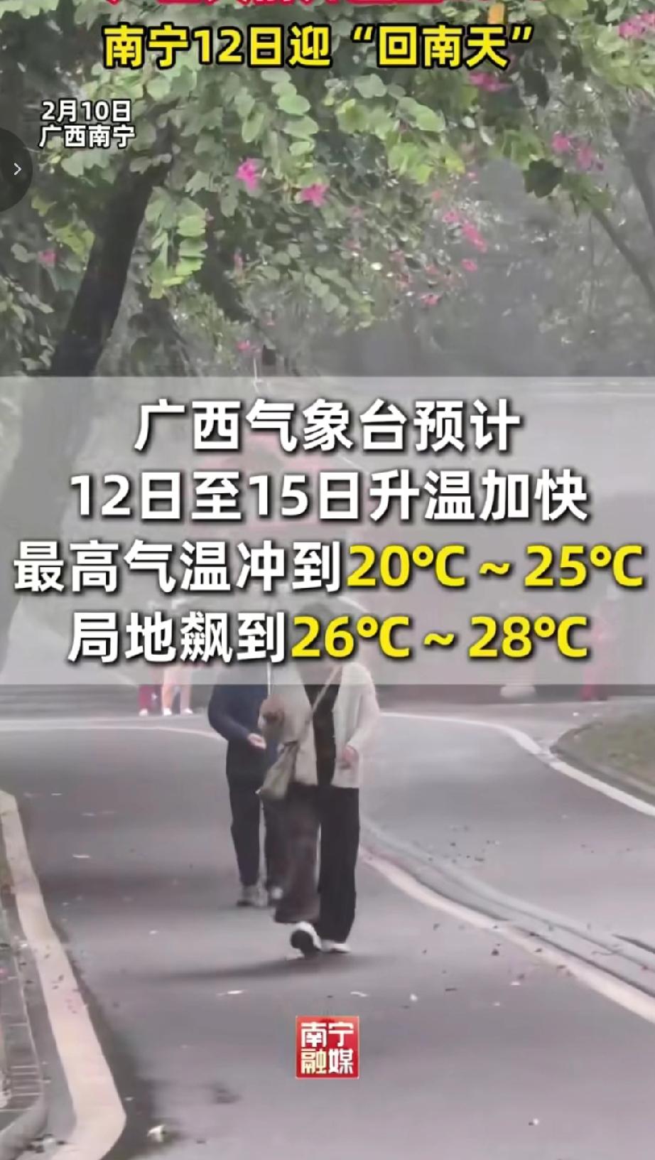 广西气象台2月10号发布10号～11号受冷空气影响天气比较冷，预计12～15温度