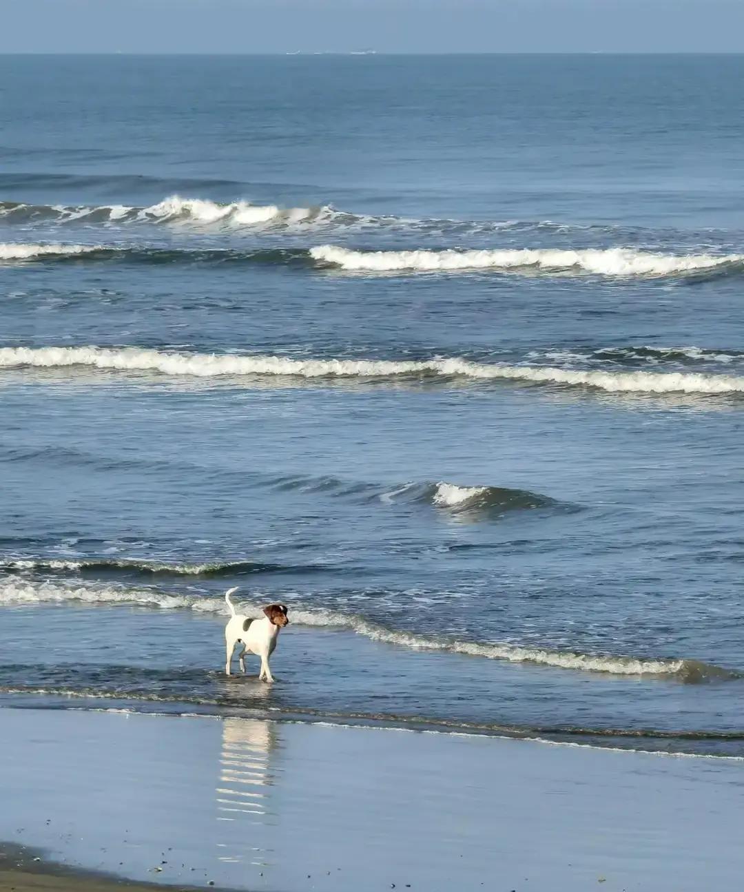 钱和性，两张人性底牌谈钱，最见人品。大方还是抠门，守底线还是踩红线，三句话就