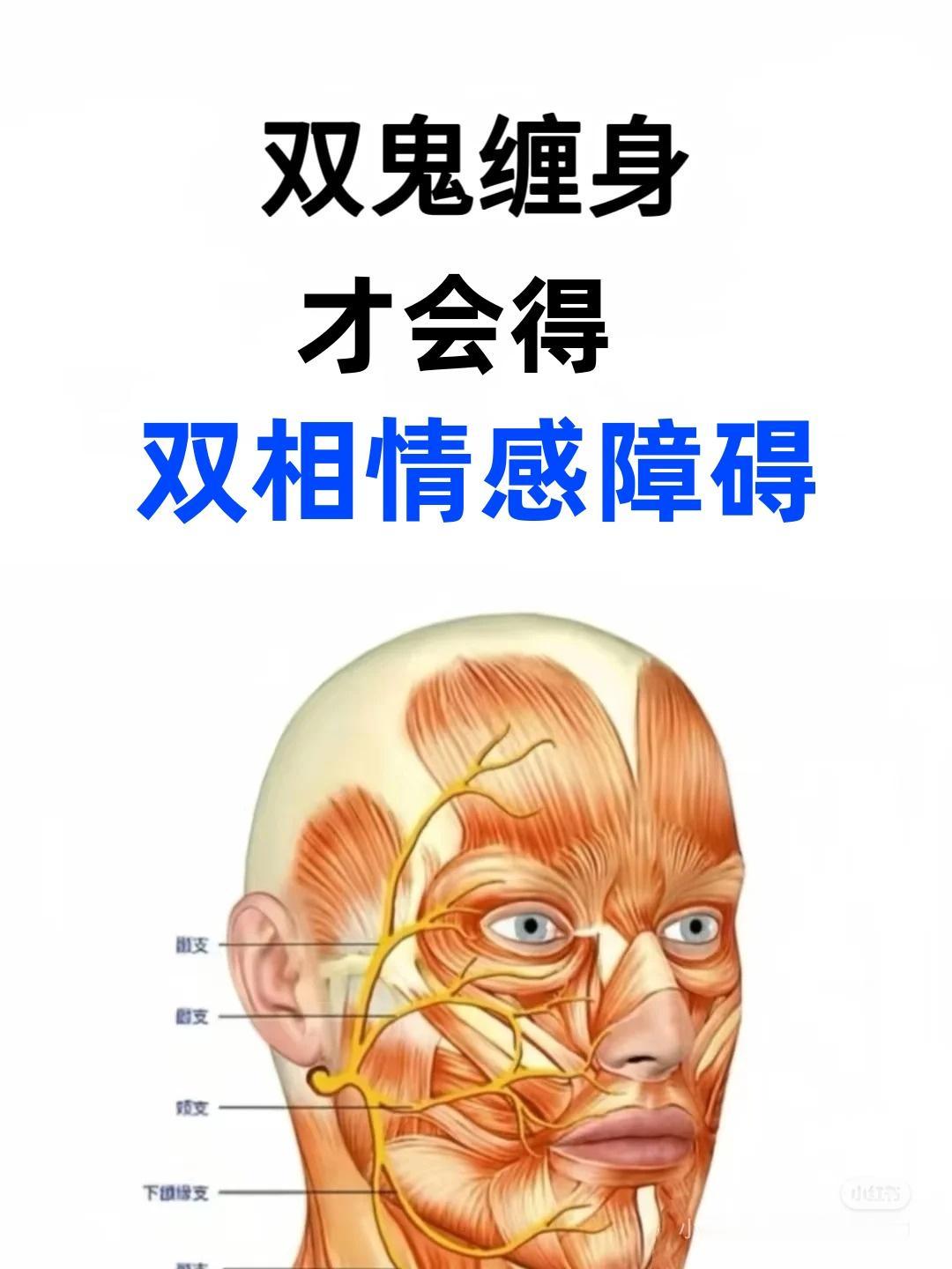 双鬼缠身，才会得双相情感障碍。双向情感障碍，在中医里虽无直接对应病名，但可从“