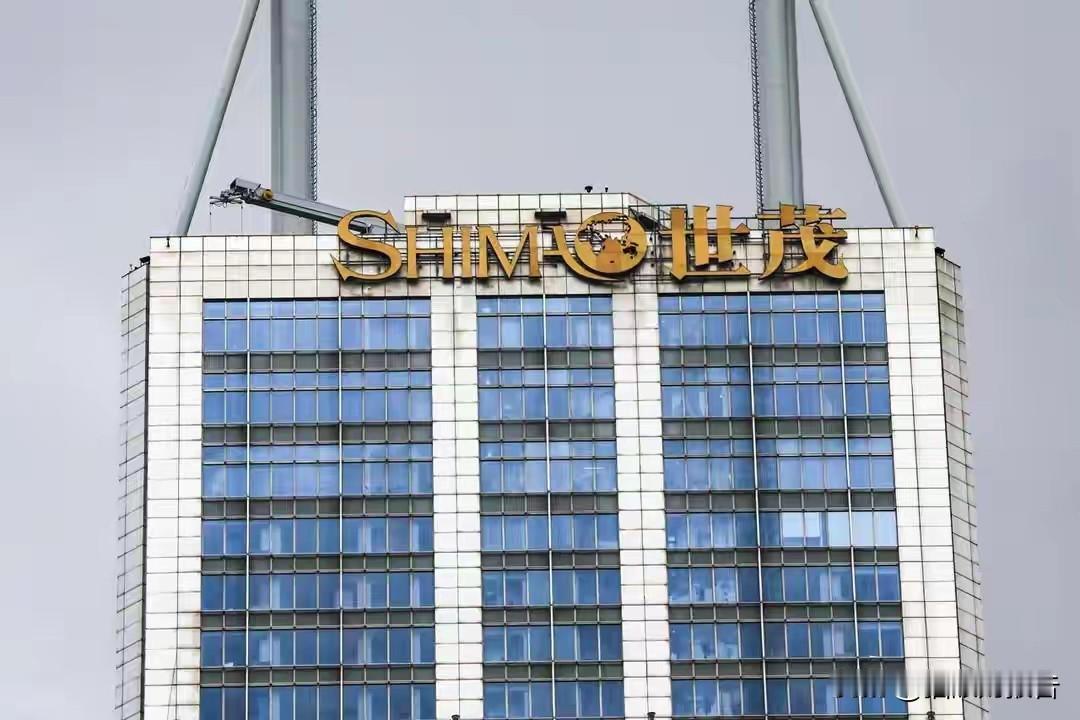 许世坛签下第一笔收购合同时，手可能都在抖。不是紧张，是兴奋。他在父亲手下当了整整