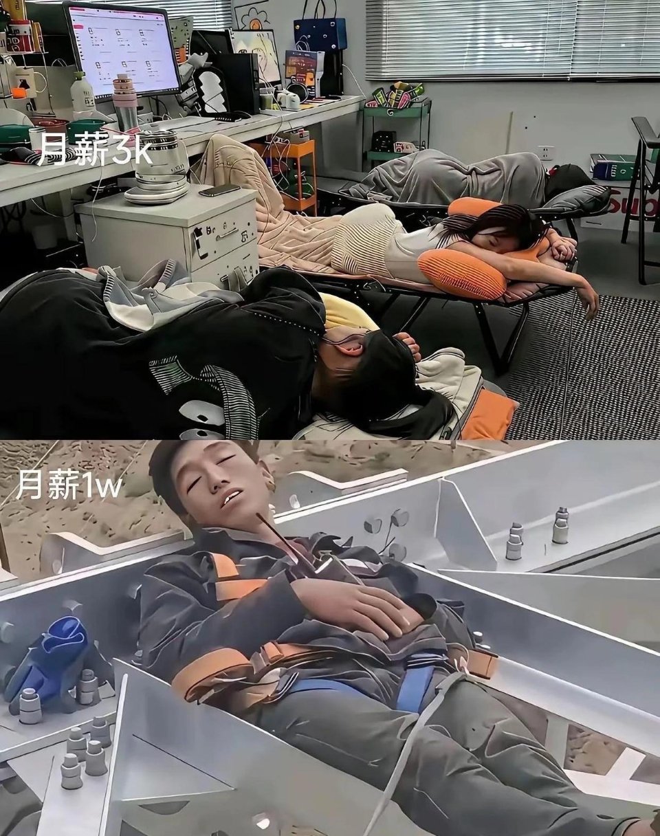 你会怎么选?