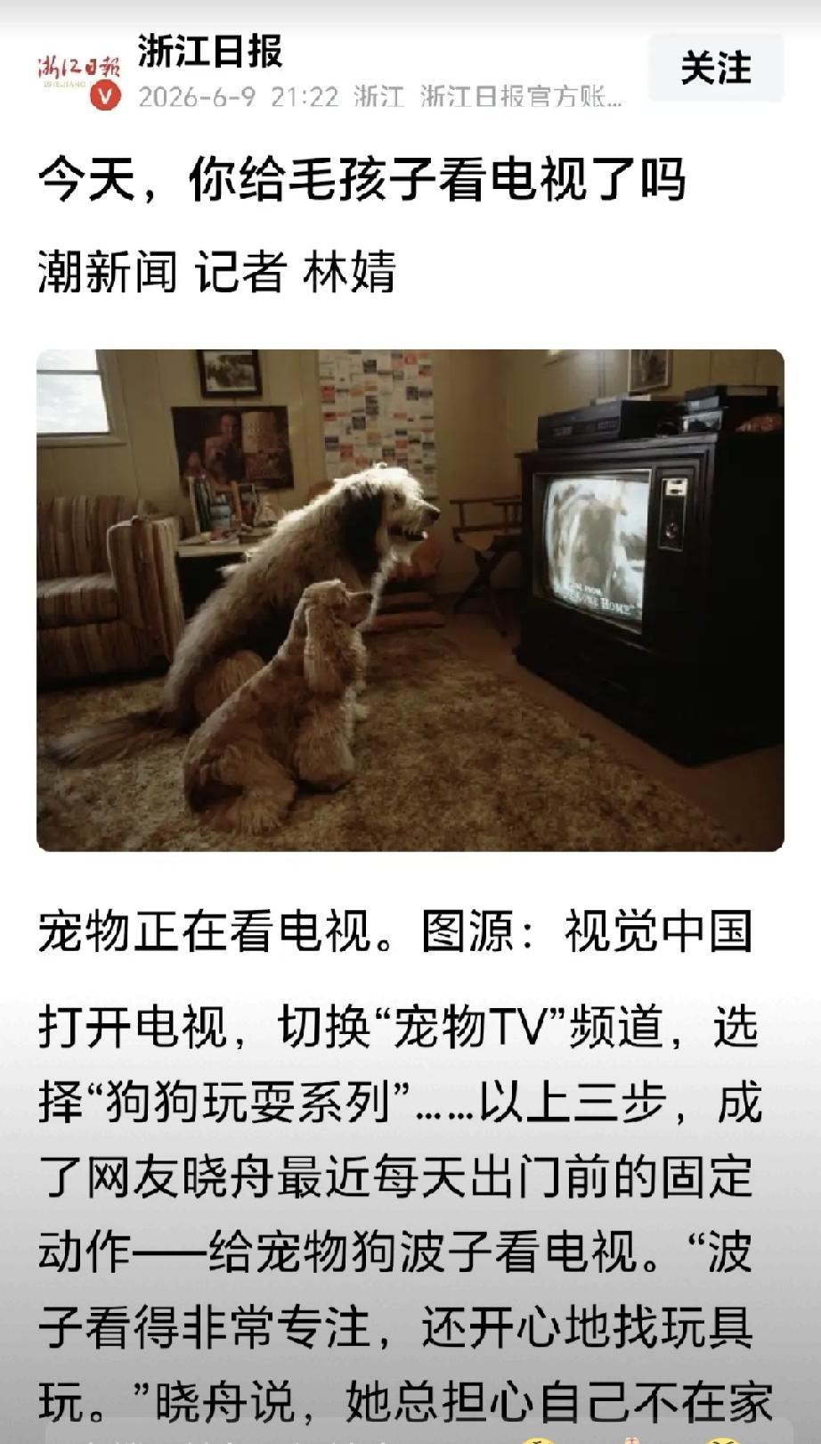 不能仅止于删除！前有北青网的“300只流浪狗的‘六一’礼物”，在遭到网民铺天盖