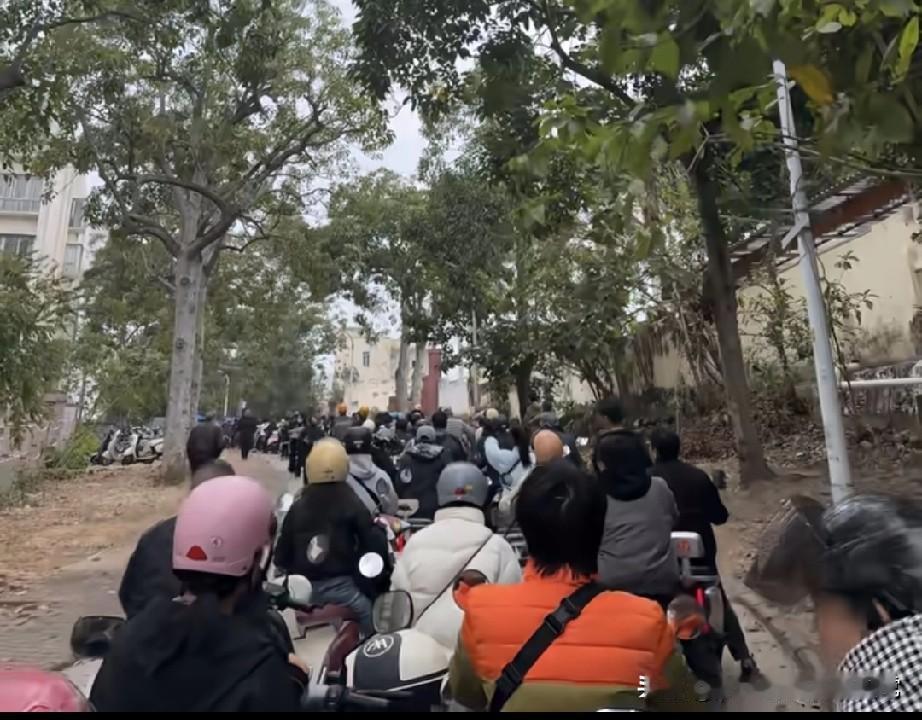 湛江太落后了7点半上牌队伍排到千米外今早7点半，天还没亮透，湛江这条绿树成