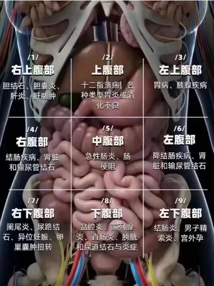 健康篇：「不同部位疼痛的原因找到了」很多人不知道自己身上疼的时候到底是什么毛