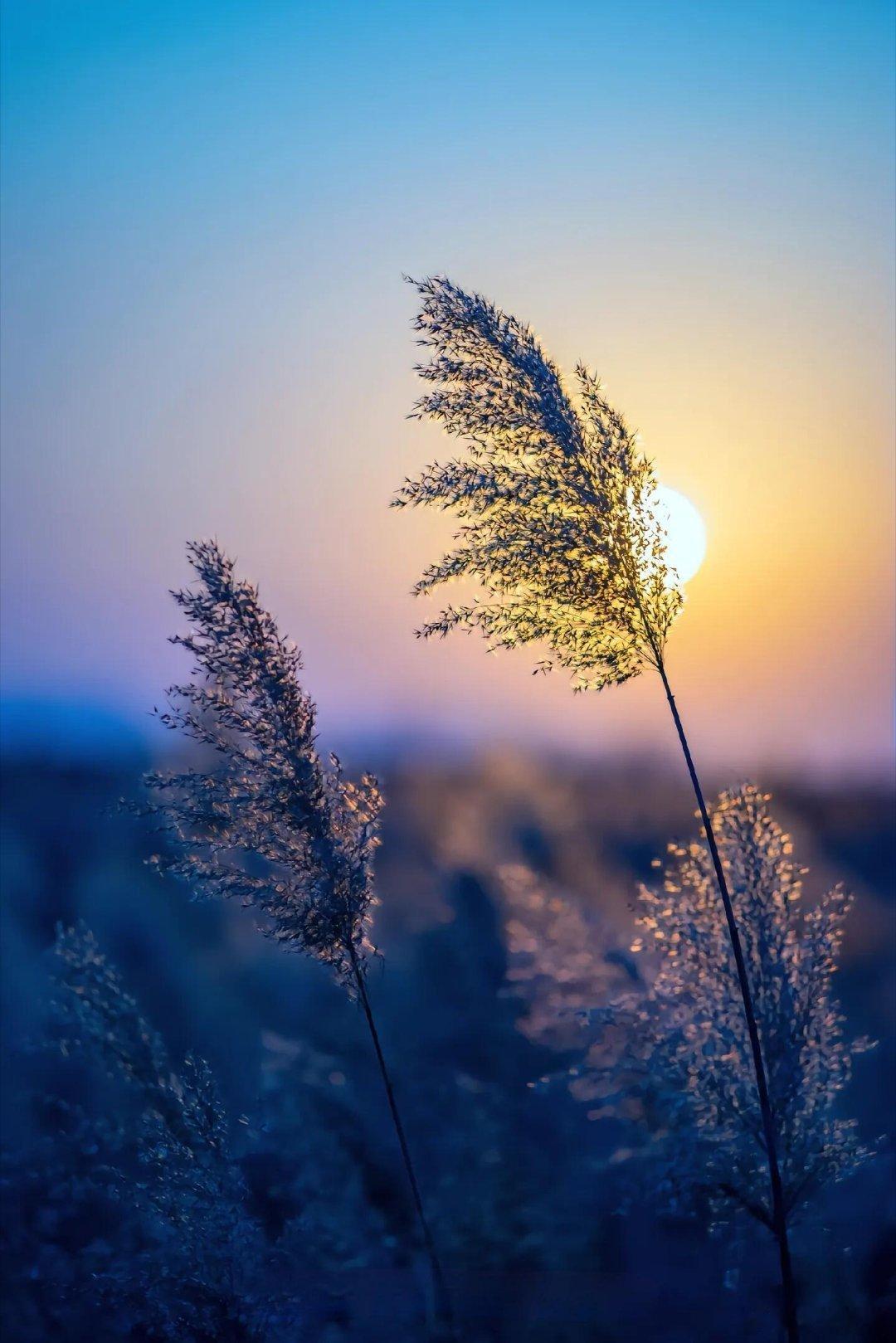 男人背叛婚姻的4个错觉以前总觉得，原配发现老公背叛，会哭闹、会忍让。但这些年，我