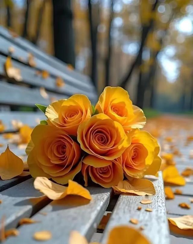 一段非常智慧的话：“什么都不敢尝试的人，注定要穷一辈子。车停在家里最安全，但那并