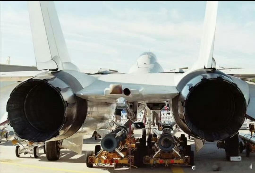 日耳曼赢学TAI终于开窍了：垂尾装尾撑比装发动机舱上面先进[笑着哭]图1的用