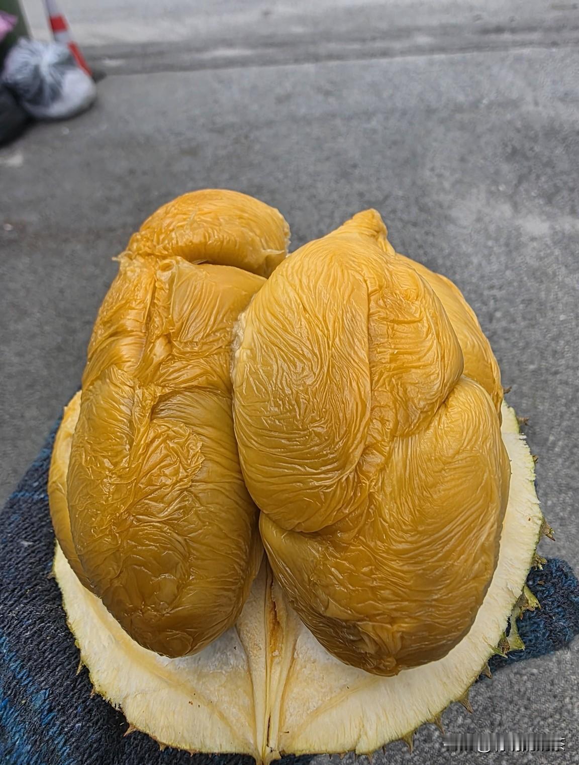 有没有人认识这个是什么？