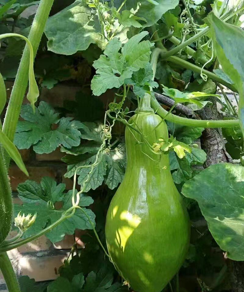 堂姐和老公是患难夫妻，没想到日子过好了，姐夫却出轨了。这事儿其实刚开始堂姐是不