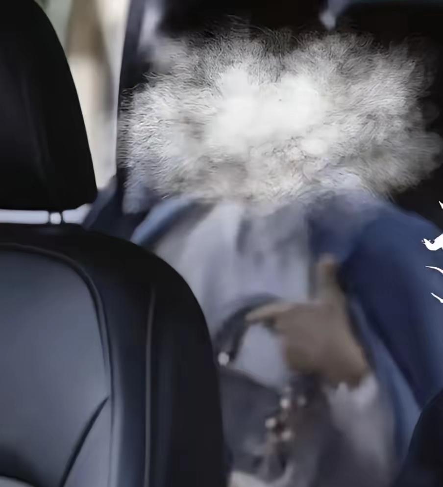 网约车司机拉到“稀客”美女，这崩溃程度简直了！四川南充的陈师傅就遭遇了这样的糟心