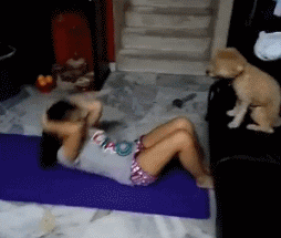 爆笑GIF: 妹子, 没事逗猪干嘛呢?