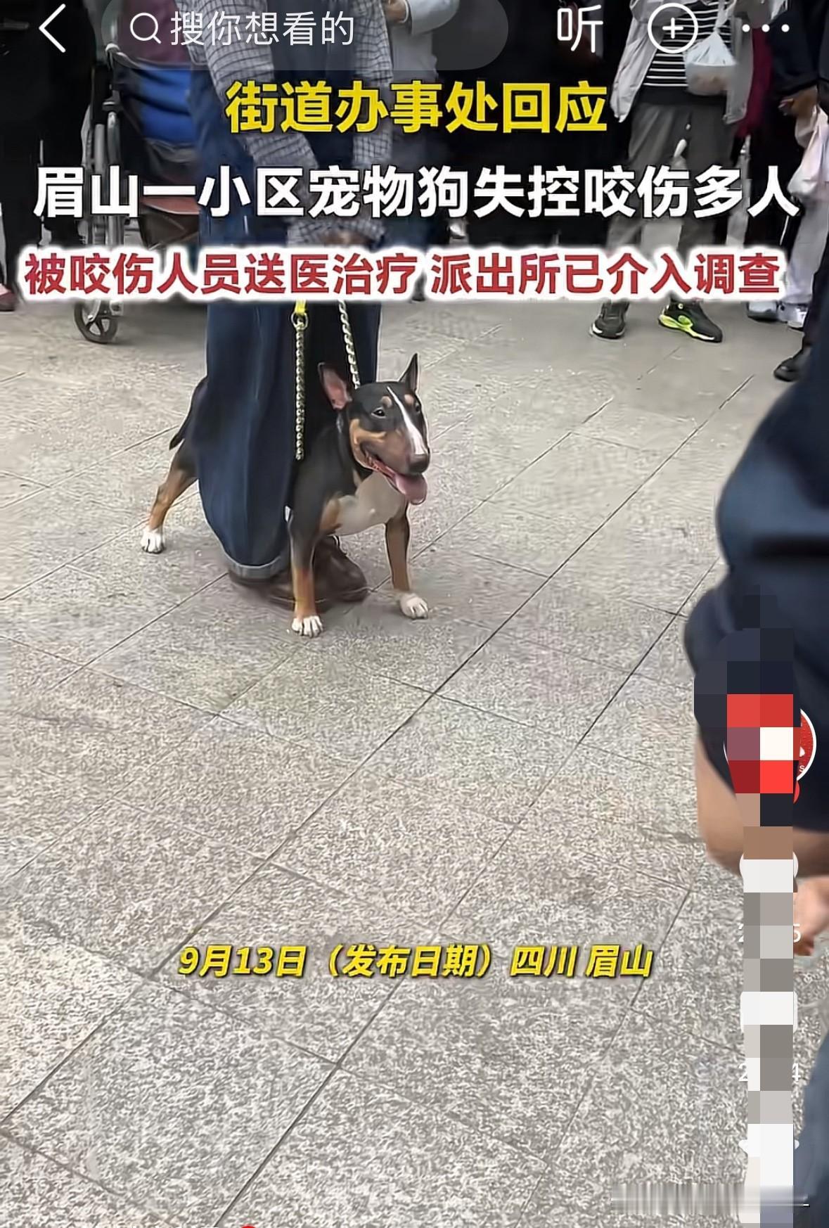 大概率女孩儿要毁容了。四川眉山三岁女童遭恶犬撕咬的事，最让我愤慨的不是肇事的狗