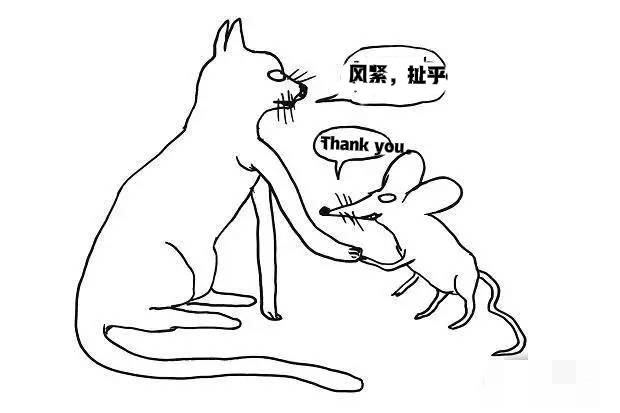 内鬼是谁？猫本来是捉老鼠的，但是后来，猫不仅成了魏老鼠保驾护航的保护伞，还成了猫