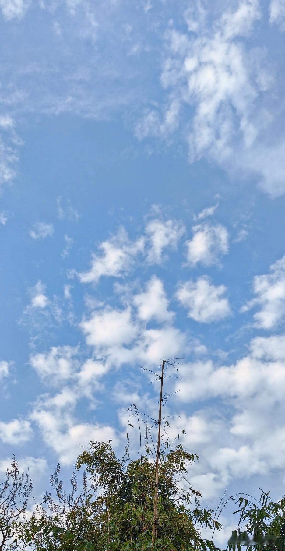 今年过年回农村时发现，年味真的淡了。鞭炮声稀稀拉拉，春联贴好，年夜饭上桌，