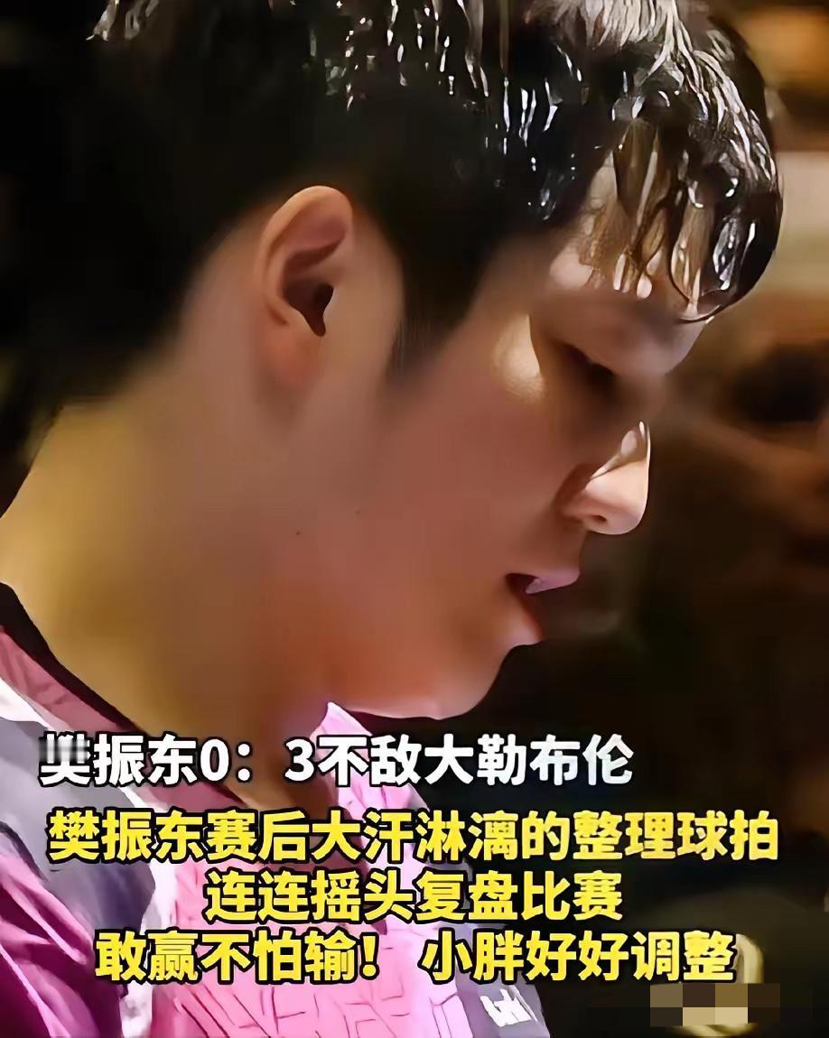 果然还是男人最懂体育！​我问我老公，樊振东不是很厉害的嘛？怎么这次欧冠决赛，直