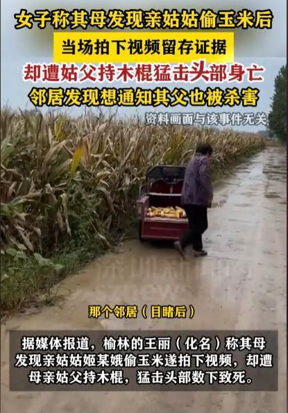 陕西榆林，一女子发现亲姑姑来家里偷玉米，于是拍下视频留证，气得姑姑找来了姑父，用