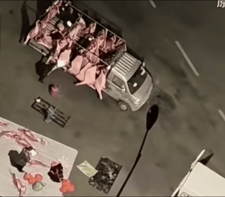 近日，成都居民曝光一则视频：凌晨街头上出来一流动大型猪肉摊，摊主甚至把马路当砧板