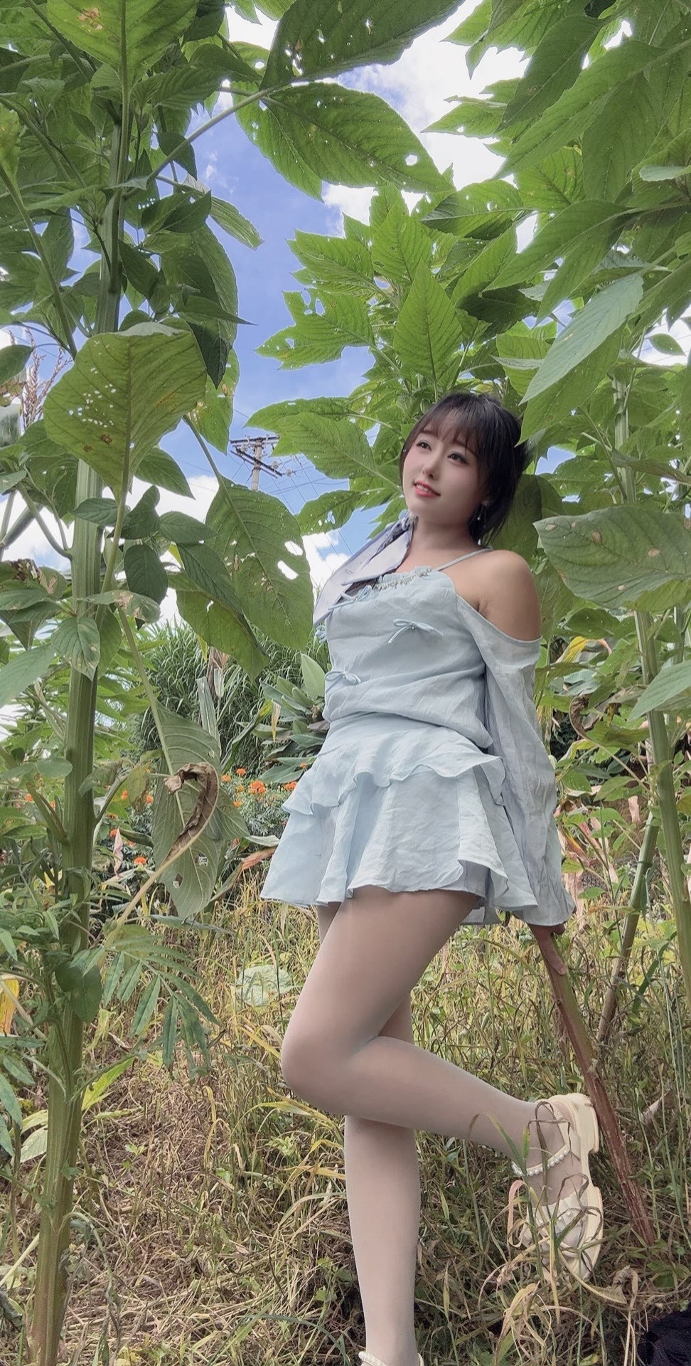 有认识这是什么植物的吗​​​
