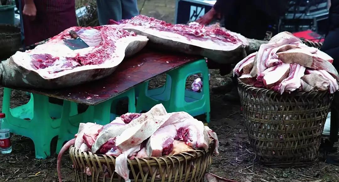 这锅“刨猪汤”，怕是要把合川炖成下一个网红城市了。1月12日“呆呆”家院坝的