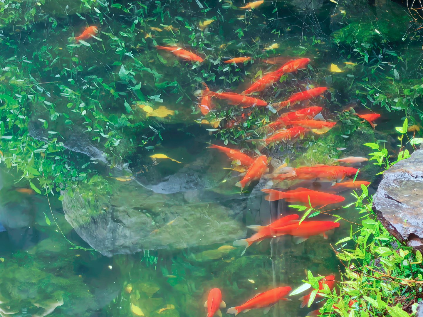 春日的苏州，满目皆是温柔绿意。草木舒展，清风拂面，连空气里都带着清新的草木香气。