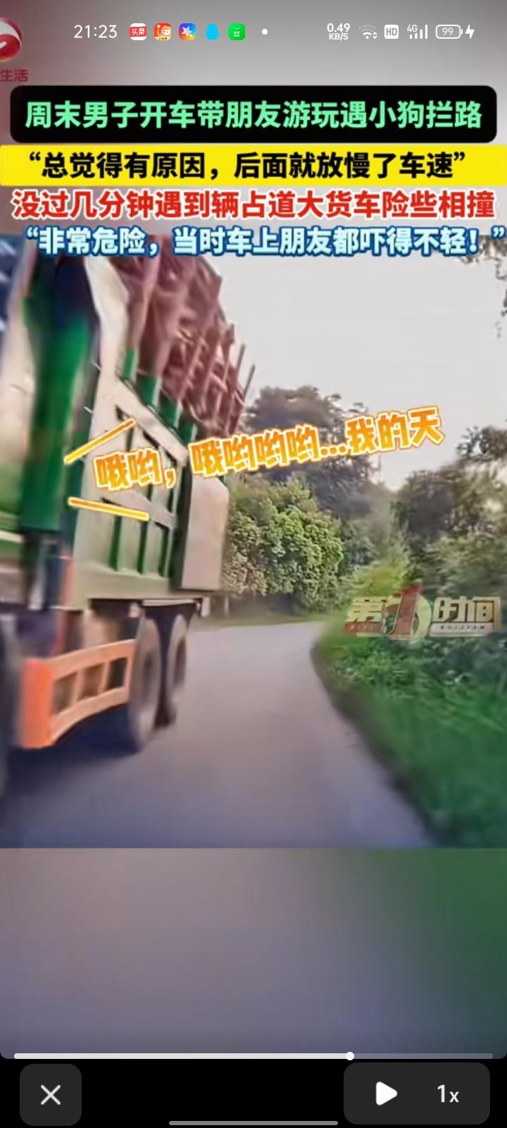 8月10日，桂林市灵川县。男子开车带朋友游玩，途中突然遇到小狗从路边走到路中间，