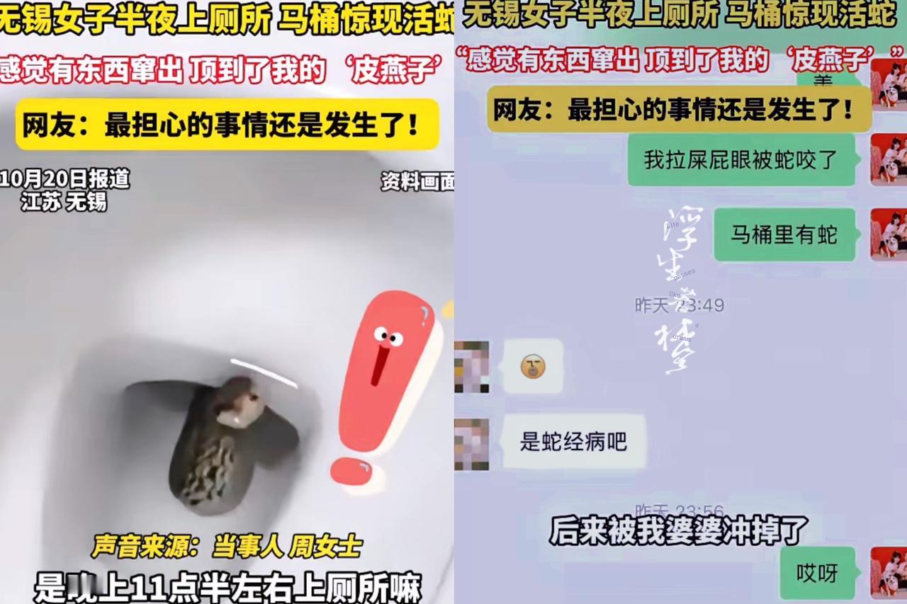谁能想到上厕所也能撞见“不速之客”？江苏无锡周女士半夜肚子疼，冲进卫生间一坐，就