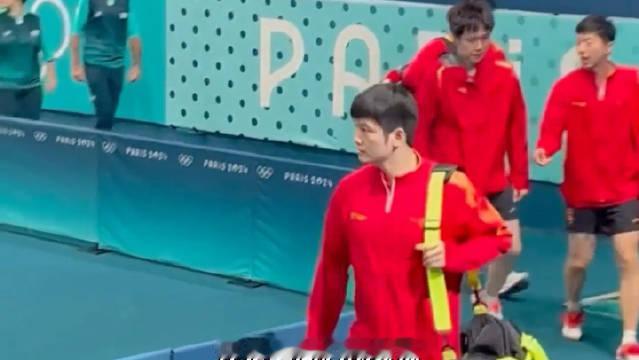 樊振东大概率还是会回归国家队，哪怕他清楚知道自己将要面对什么