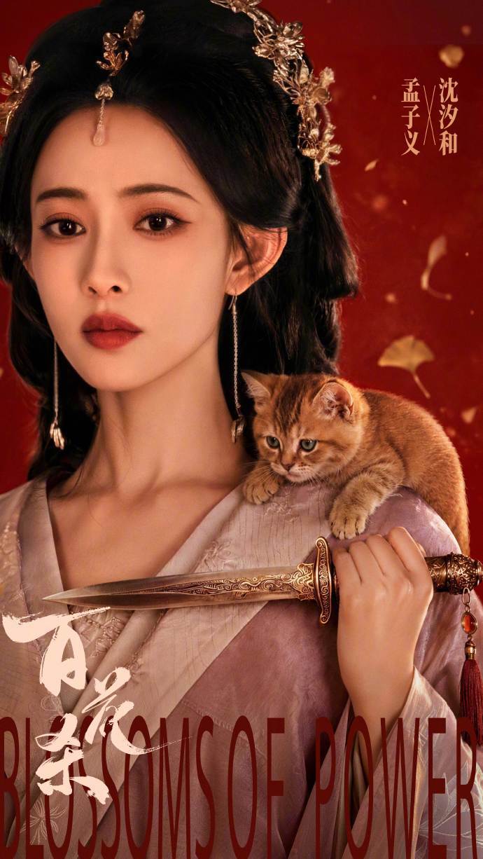 肩头趴着的小猫