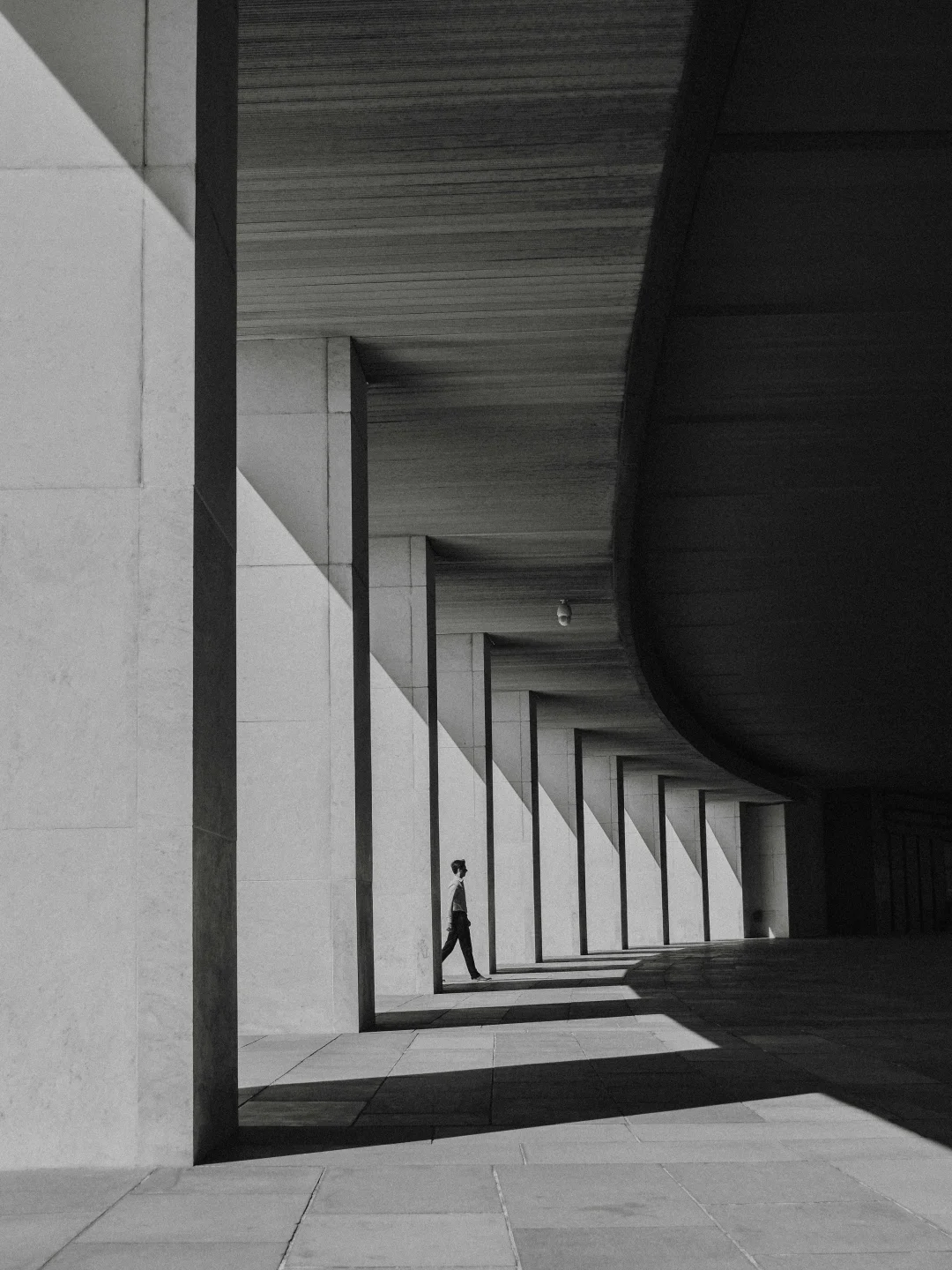 用黑白的方式看世界