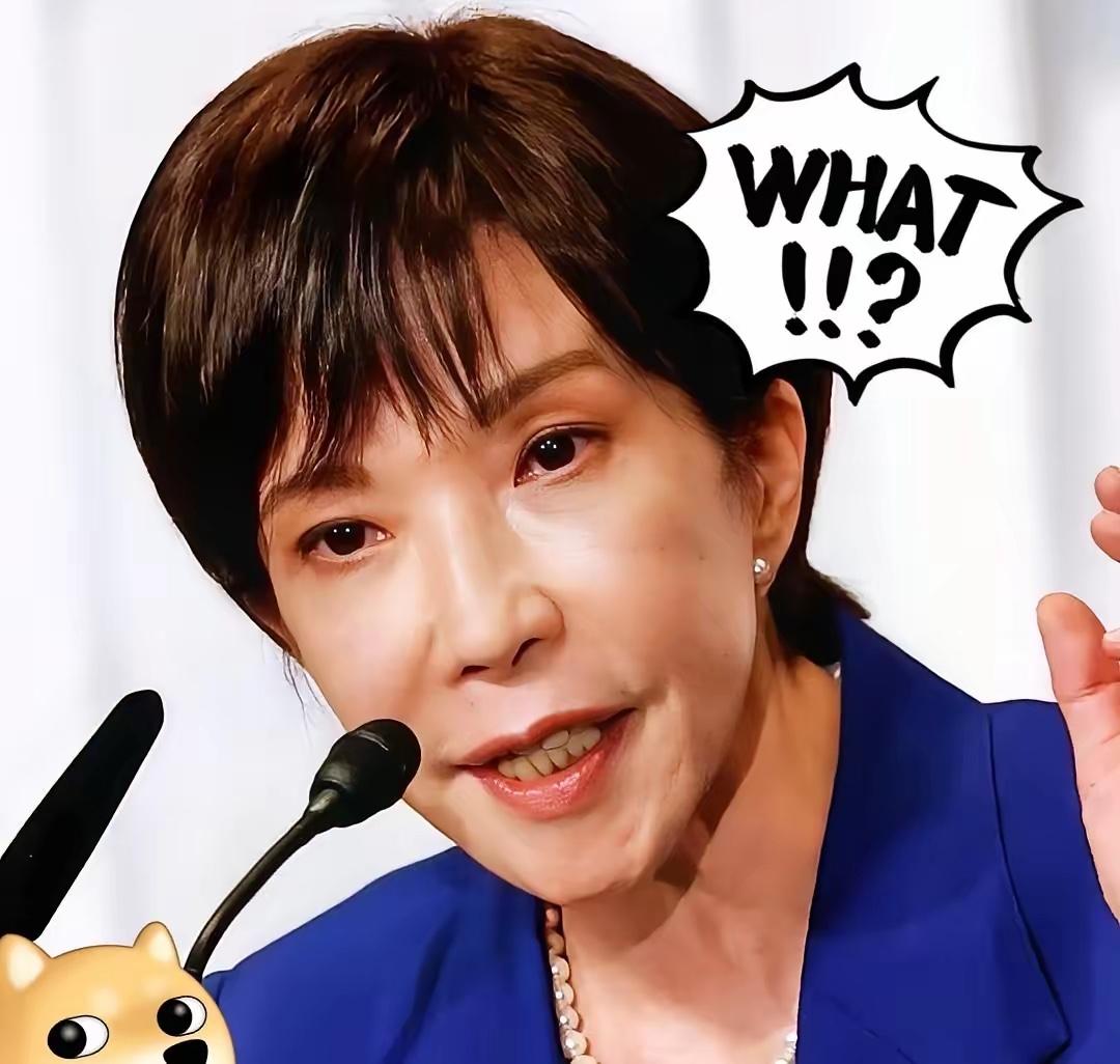 方面突然宣布了，高市早苗将于11月22日至23日赴南非出席G20峰会，并安排外事