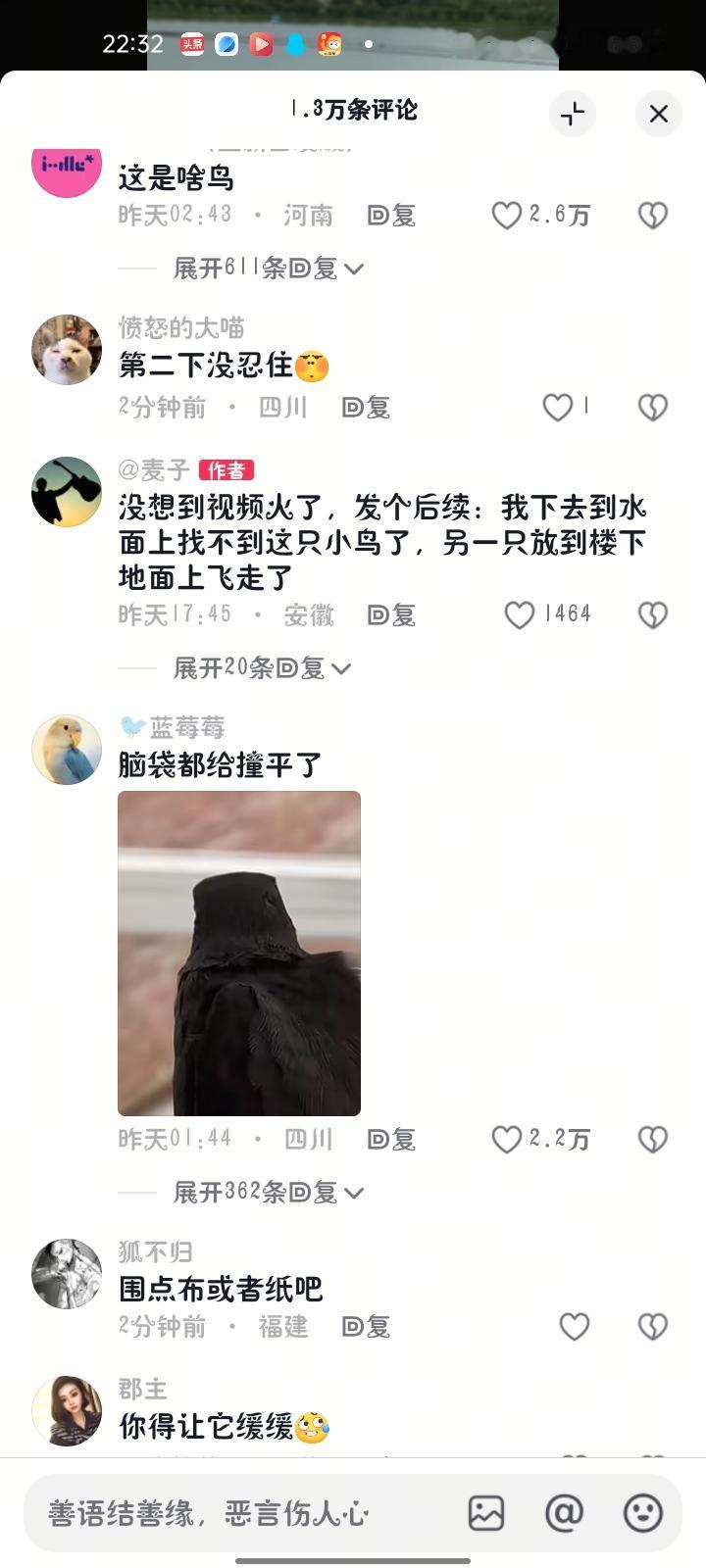 7月23日，安徽合肥。男子发视频称，自己看到两只小鸟撞到玻璃掉地上，就捡起小鸟从