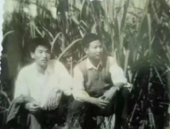 1978年，上海一男知青为了回城，抛弃了农村妻子。分别时，妻子哀求地说：“带着我