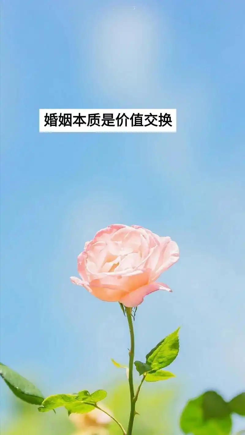 清醒的感情观：先做有价值的自己，再遇势均力敌的爱人。红与黑戳穿的人性真相：没