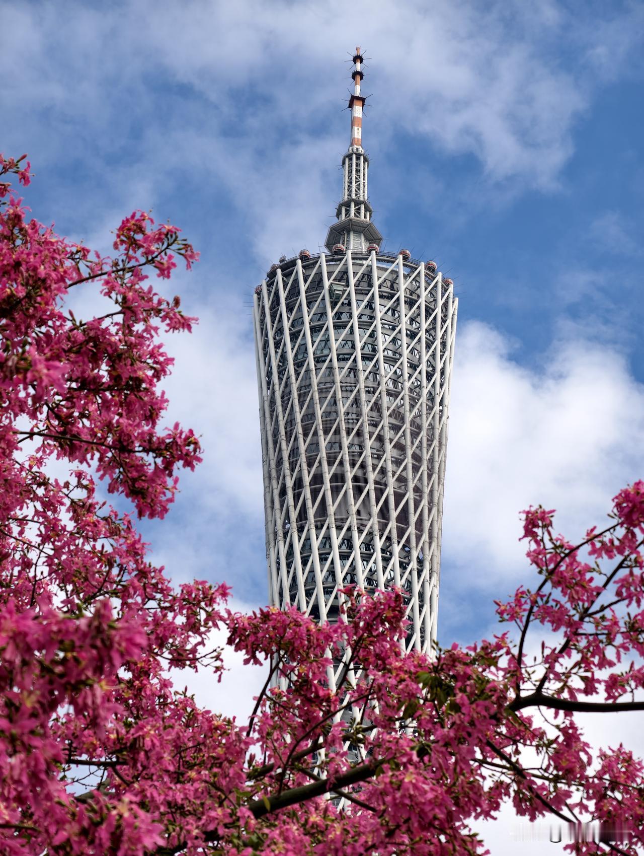 去逛了广州园林博览会。随手拍几张风景，回来发现主角还是小蛮腰。没办法，小蛮腰总