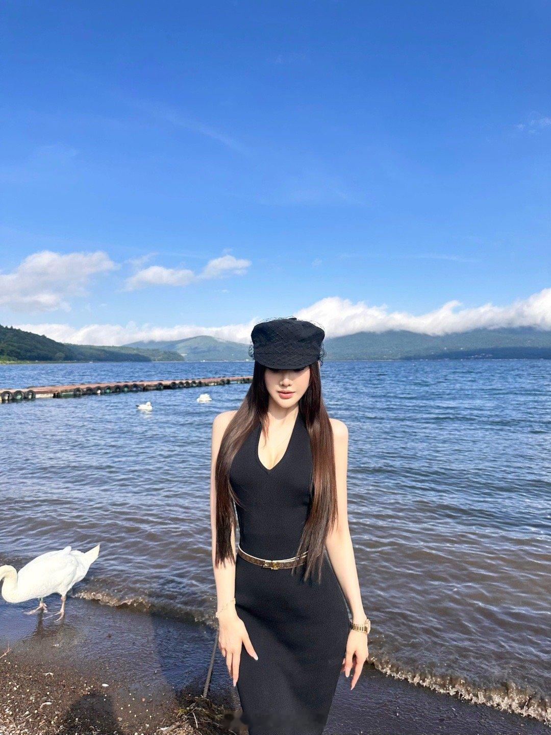 🦢​​​