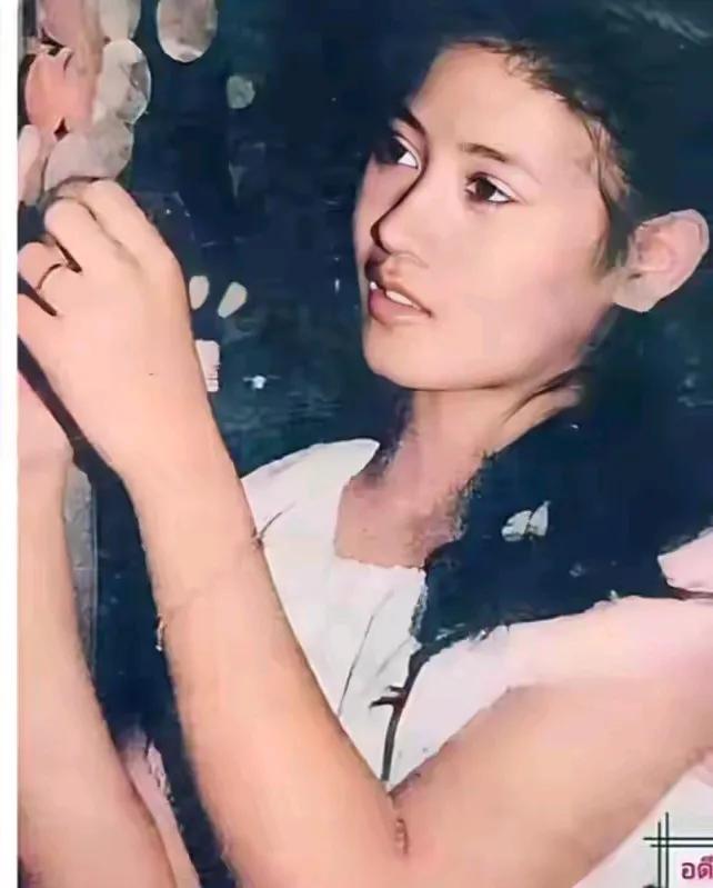 泰王的长情给了二妃子，二妃子应该是他的白月光了，毕竟她是他年轻时的恋人。